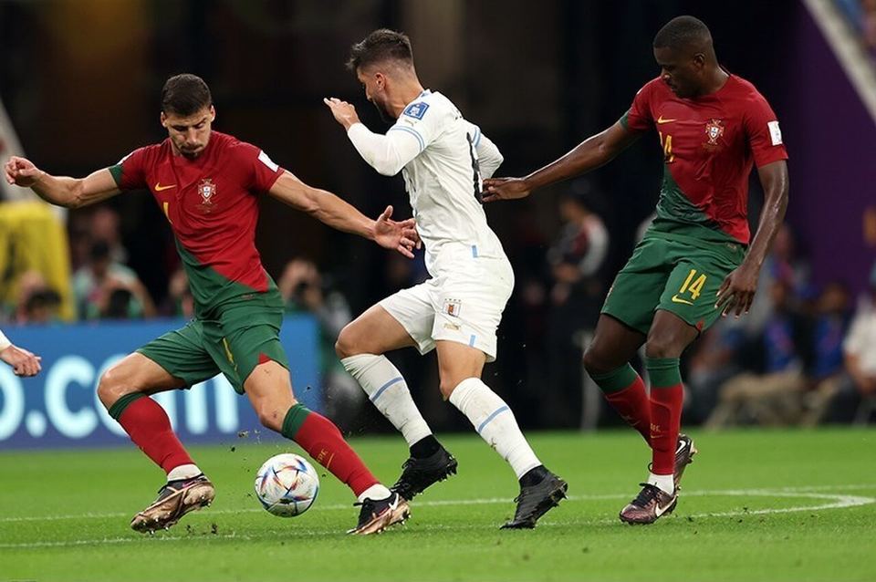 开云 · 资讯